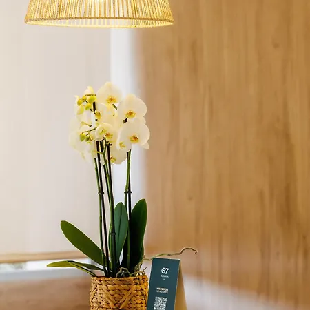 Hotel O7 Alondra Cala Ratjada (Mallorca)