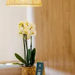 فندق O7 Alondra كالا راتخاذا