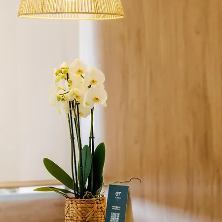 Hotel O7 Alondra Cala Ratjada (Mallorca)