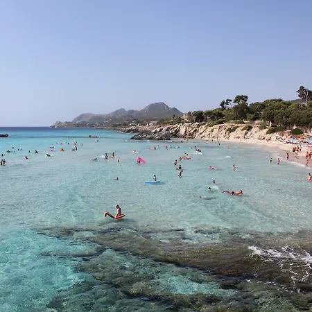 O7 Alondra Cala Ratjada (Mallorca)